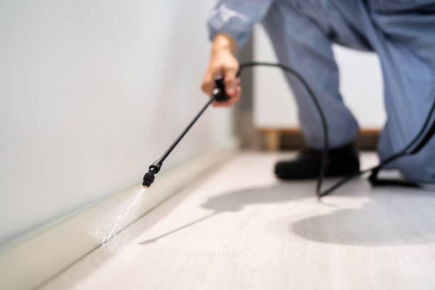 Licensed Exterminator service in Toluca, IL - Show Me Pest Control
